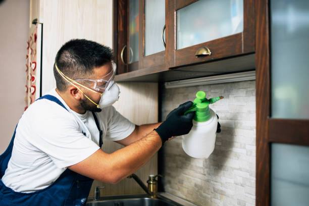 Insect Control in Falling Waters, WV
