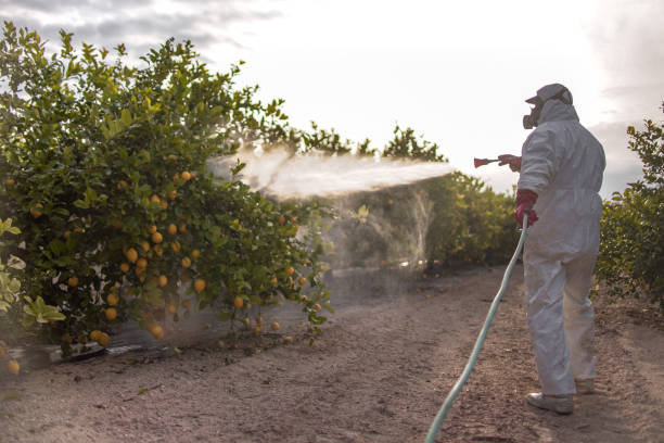 Pest Control Cost in Falling Waters, WV