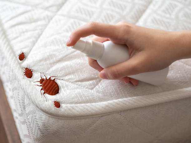 Best Affordable Pest Control Services  in Falling Waters, WV